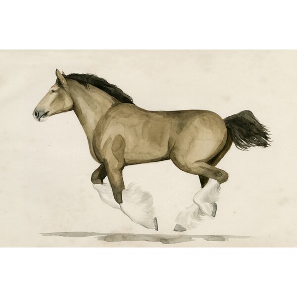 Rosalind Wheeler Clydesdale II By Grace Popp Wrapped Canvas Painting